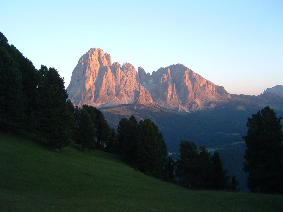 Appartamento Dolomiti Selva di Val Gardena Exterior foto